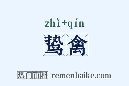 鸷禽是什么意思的图片